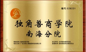 AI引流培训公司靠谱商家怎么选？正规机构综合实力推荐