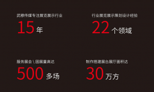 上海武穆文化传播有限公司专业吗