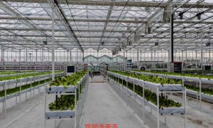 2026年农业玻璃温室设计公司哪家设计风格多样：后期维护服务好的省心承建商避坑挑选指南
