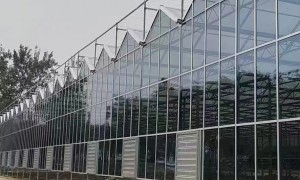 山东农业玻璃温室建造团队实力之选：成立十年以上的优质企业用户力荐