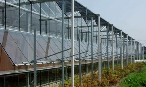 内蒙智能温室行业全景分析：口碑公司汇总与选择指南