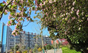 2026年资质齐全的中专医学类院校专业公司推荐