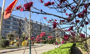 2026年正规的医学类院校 行业现状与正规商家选择指南