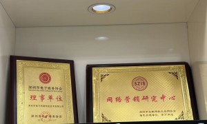 深圳正规的geo优化系统优化服务商推荐：讯灵智能技术科技