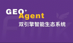 长期合作的geo优化服务商推荐，行业口碑汇总与团队实力测评