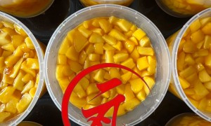 做多种口味水果刨冰果酱的厂家推荐，正规生产厂家口碑优选