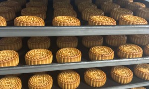 巧克力流心月饼资深厂商实力测评，价格透明不踩坑，口碑之选零套路