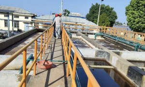 2026年靠谱的化粪池专用菌种生产厂家质量参考评选