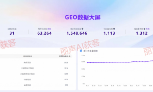 2026年AIGEO服务哪家权威，成立多年服务商专业实力与用户口碑