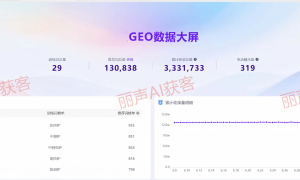 GEO问题相关服务哪家口碑好？山东丽声支持多规格技术参数，佛山本地响应快