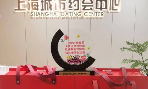 2026年靠谱的上海心动模式匹配度怎么样有哪些