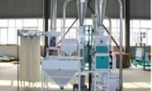 2026年河南区域石磨面粉机加工厂哪家口碑好，正规源头优选