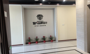 深聊解析包装难题公司，哪家靠谱，为你筛选优质企业