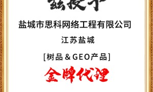 扬州靠谱的全域AI获客GEO公司合作实力参考