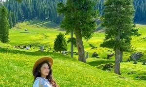 2026年知名的新疆中国国际旅行社纯玩旅行服务商靠谱商家测评排名