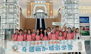 广州国旅新疆旅游团报团合规服务商筛选名录