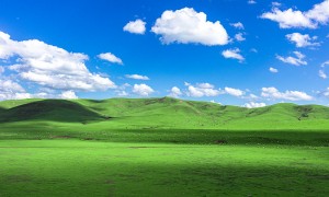 庆阳口碑好的旅行公司，博思旅游广受信赖