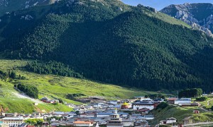 旅行旅行社多少钱？博思旅游价格公道不玩套路，用户力荐