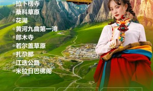 2026年口碑好的旅行社服务商挑选全攻略