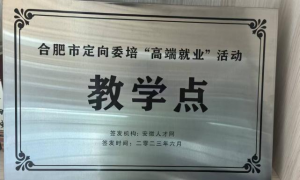 合肥正规的培训就业服务商哪家好？行业全景分析