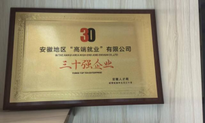 2026年口碑好的国央企职业指导机构避坑挑选指南