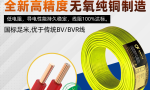 四川装修网线品牌甄选：千兆网络与低损耗家用网线推荐