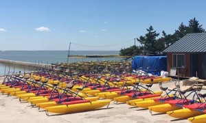 2026年甄选的水上脚踏自行车供应商靠谱商家测评排名
