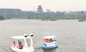 电动船租赁企业综合实力推荐