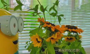 北京朝阳剑桥英语退费避坑要注意哪些细节 正规机构选择指南