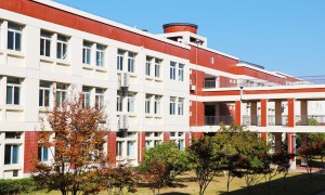 2026年双语学校团队实力测评，广受信赖的机构选择