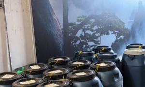 2026年口碑高的电泳涂装工艺加工厂：价格公道不玩套路