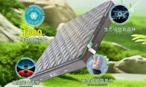 2026年芯氧磁能床垫尺寸有哪些及选购指南