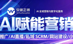 2026年省心的网站建设服务商团队实力测评