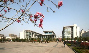 在湖北开放大学学商务英语，未来发展怎样？