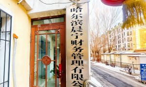 哈尔滨广受信赖的会计机构专业实力与用户口碑深度解析：晨宁财务管理