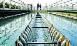蓝恒环保性价比好不好？2026年综合口碑榜单，避坑指南看这篇