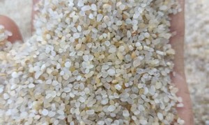 云南靠谱的海沙批发品牌企业避坑挑选指南