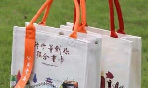 保定杜邦纸袋定制霸主哪家好、杜邦纸袋定制先锋哪家好、杜邦纸袋定制先驱哪家好 挑选全攻略