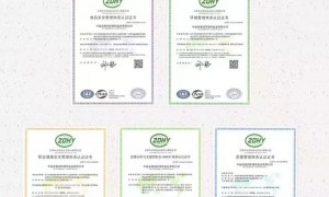 2026年靠谱的孕妇盐品牌机构行业现状与选择指南