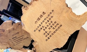 金源木业创新能力怎么样
