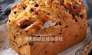 黑龙江靠谱的职业技术培训机构实力参考，综合实力推荐