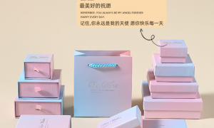 汕头包装工厂推荐：泰艺包装行业从业资质等级排行