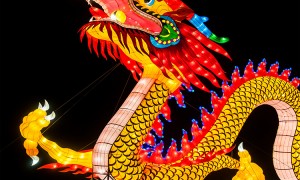 自贡彩灯供应企业合作实力参考：复古彩灯公司筛选名录
