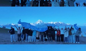 已经落地过很多跨境退税项目的公司实力与用户口碑深度解析