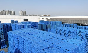2026年靠谱的叉车塑料托盘源头厂家质量参考评选