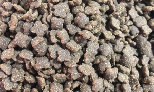 青岛彬利宠物用品有限公司靠谱的宠物粮OEM定制工厂客户口碑力荐