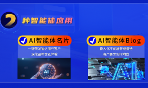 东南亚出海GEO项目分析：靠谱商家与筛选名录