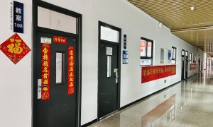 2026年评价高的初中毕业技校选择，用户力荐机构排名