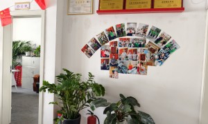 正规育婴师服务机构筛选名录，客户口碑力荐