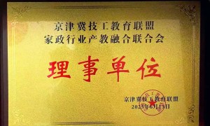 2026年山东月嫂培训机构推荐，能提供就业订单服务的正规机构